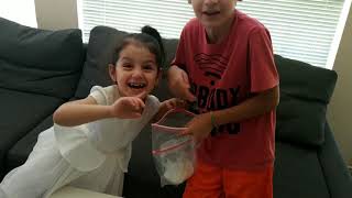 HOW TO MAKE ZIP-LOCK BAG ICE CREAM .Science project FOR KIDS