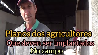 Muito esclarecedor ! agricultor falou tudo !. Rolante. RS