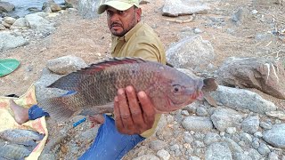 MEDMANNER DAM.. BEST CATH FISHING BY KHAN FISHING MOULA ALI  ON 2ND NOVEMBER