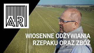 Wiosenne odżywiania rzepaku oraz zbóż  || AR #139