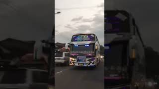 STORY WA CINEMATIC BUS TUNGGAL JAYA KIDS PANDA TERBARU FULL STROBO + telolet Basuri v4