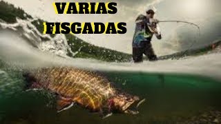 🎣VARIAS FISGADAS COM IMAGEM SUB AQUÁTICA PARA,PESCA ESPORTIVA COM IMAGEM SUB AQUÁTICA