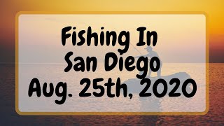 FISHING: Fishing In San Diego | San Diego Fishing August 25th, 2020