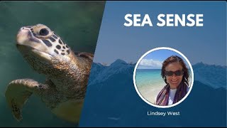 WCN Fall Expo 2021 | Sea Sense