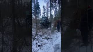 Making Firewood In The Winter Forest 2022