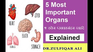 5 Most Important Organs | 5 सबसे महत्वपूर्ण अंग  | Treatment | Explained in Urdu/Hindi