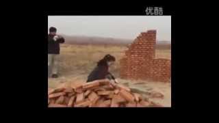 make building