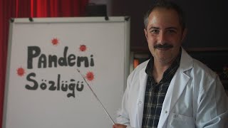 PANDEMİ SÖZLÜĞÜ: (Sosyal Mesafe, Kapanma, Yeni Normal Nedir?)