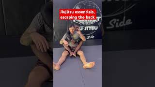 Escaping back control  jiujitsu must