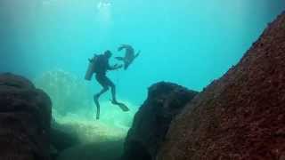 Clint Walker Master Diver @ LaPaz Seal Island 10 16  14 ws