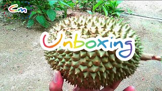 Durian Size S Harga 35.000 ?😂🤭