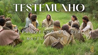 EVANGELHO DO DIA 13/07/2024 - MATEUS 10,24-33 - TESTEMUNHO