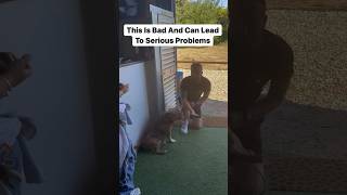 This Can Lead To Serious Problems #dog #problem #shorts