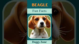 Beagle: The Enduring Love | Dog Breeds | Dog Lovers