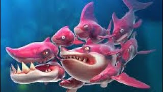 The Frenzy run through hungry shark world