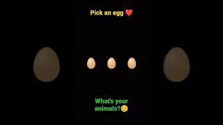 What's your animals?🐼