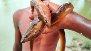 Traditional Eel Fishing Techniques | Catching lot of Eel Fish Under The Muddy | Eel Fishing Video 🐡