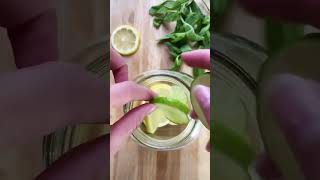 Iron Enriched Lemon Water