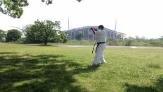 GARYU KATA KYOKUSHIN - SENSEI MITSURO