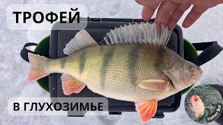 Безмотылка работает на 12,5метрах?! Огромный Окунь в городском водохранилище