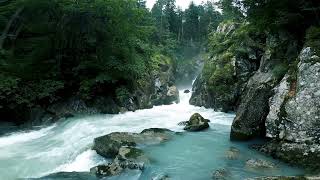 water sound for relaxing sleep 😴❤️🎧#nature #naturesounds #waterfall #water