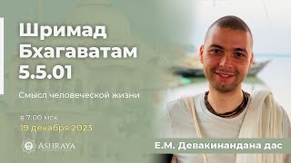 Смысл человеческой жизни. ШБ 5.5.01. Е.М. Девакинандана дас. 19.12.2023