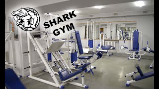 Shark Gym