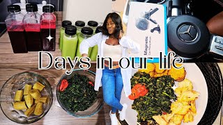 Weightloss & Immune Boosting Juices | Realistic Days In The Life As Trad Wife | Best Spinach Recipe