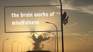 Brain works of Mindfulness