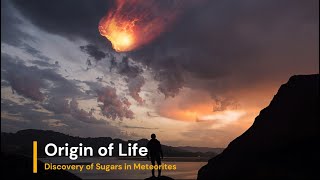 Origin Of Life : Breakthrough Discovery of Sugars in Meteorites Sheds Light on Life’s Origins #space