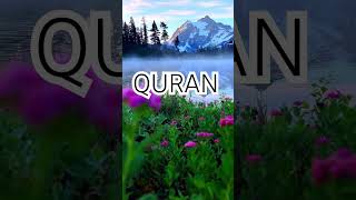 Surah Nisa Ayat No 19-2 1urdu translation #islamic#video #shortvideo#viral