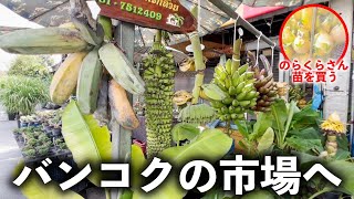 【タイ遠征】バンコクの市場で開催される苗木屋さんに行ってみたら...