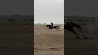 Mounted Horse Shooting.