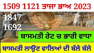 Basmati 1509 price today || 1121 rate today || basmati rate today