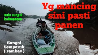 Di pastikan panen!!! Di saat air mulai payau mancing udang di sungai Semparuk.