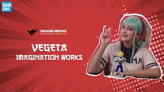 Unboxing Vegeta - Dragon Ball - Imagination Works