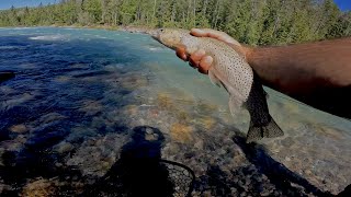 This River was LOADED with AGGRESSIVE Cutthroat TROUT (BRITISH COLUMBIA SERIES)