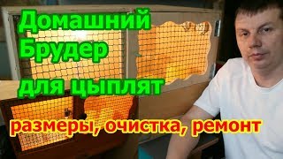 Домашний Брудер для цыплят размеры,очистка,ремонт.