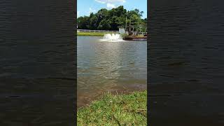 pescaria no rancho Alegre em apucarana no estado do Paraná