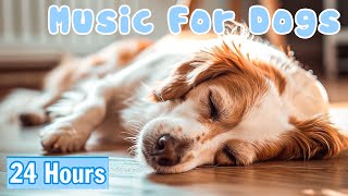 Music for Dogs: 24 HOURS FOR DOGS to Reduce Stress & Easily Fall Into Deep Sleep