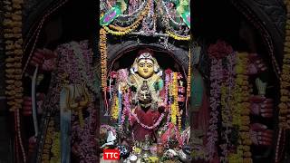 🔱 Amman #live #1k #new #amman #yt #ytviral #muruga #shiv #world #news #temple #aadi #tiruvalla #like