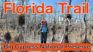 The Beginning of the End!  Hiking Big Cypress National Preserve