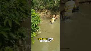 NGERI‼️PEMANCING TERSENGAT BELUT LISTRIK SAMPAI PINGSAN⁉️ #shorts #kakjeff #fishing  #mancing