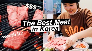 🥩The Most Expensive Meat in Korea!