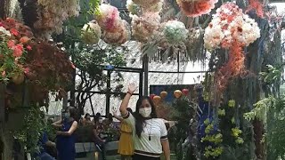 Dancing Flower Balls Selfie/ Floral Fantasy/ Gardens By the Bay #VVVjalanJalan #IndoorGarden #Shorts