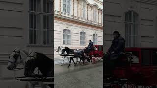 Per le strade di Vienna...atmosfera d'altri tempi...