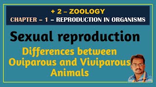 Oviparous and Viviparous animal