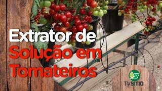 Em uma estufa de tomates, para que serve a estação e o extrator ?