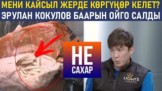 Эрулан Кокулов:Урматту элим силер мени кайдан көргүңөр келет?