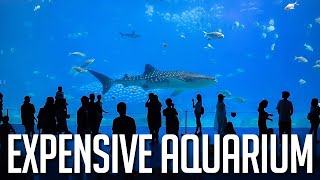 The Most Expensive Aquariums Ever Built | Marvels of Marine Luxury